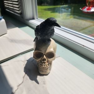 Resin Halloween Crow & Skull Figurine